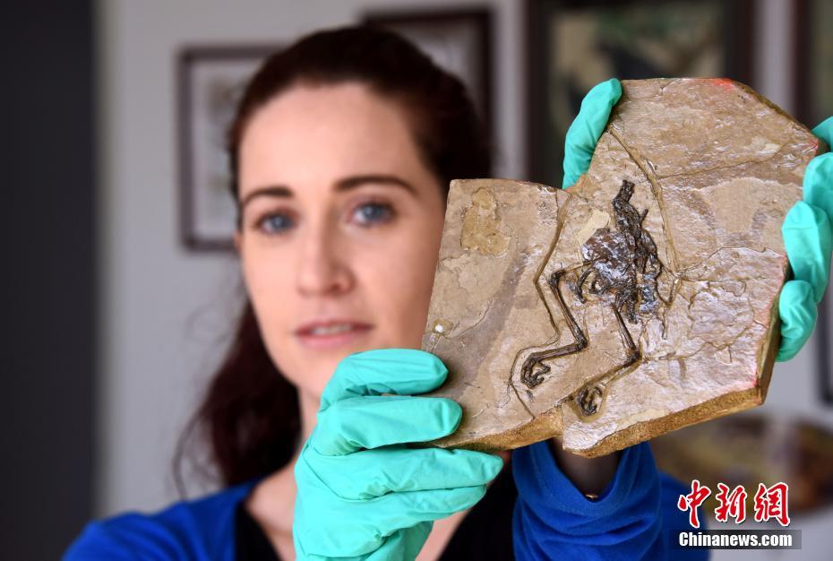 新版本和更新内容_好看游戏推荐免费91蜜桃最新资源免费看_最